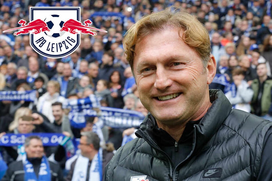 Ralph Hasenhüttl freut sich auf die Champions League.