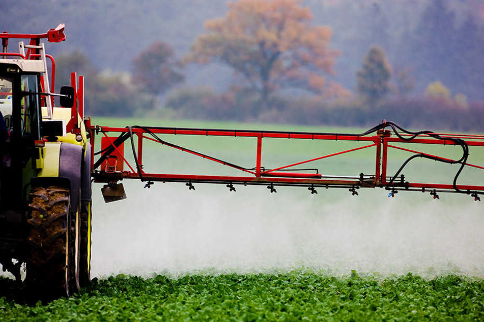 Landwirtschaft und Naturschutz geraten mitunter in Konflikt. Vor allem intensive Bearbeitungsmethoden machen das Leben für Tiere auf den Feldern schwer.