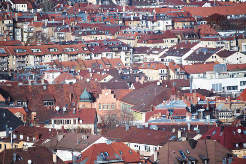 Die Vielzahl der Tücken auf dem Immobilienmarkt macht es potentiellen Mietern zusätzlich schwer seriöse Angebote zu finden.