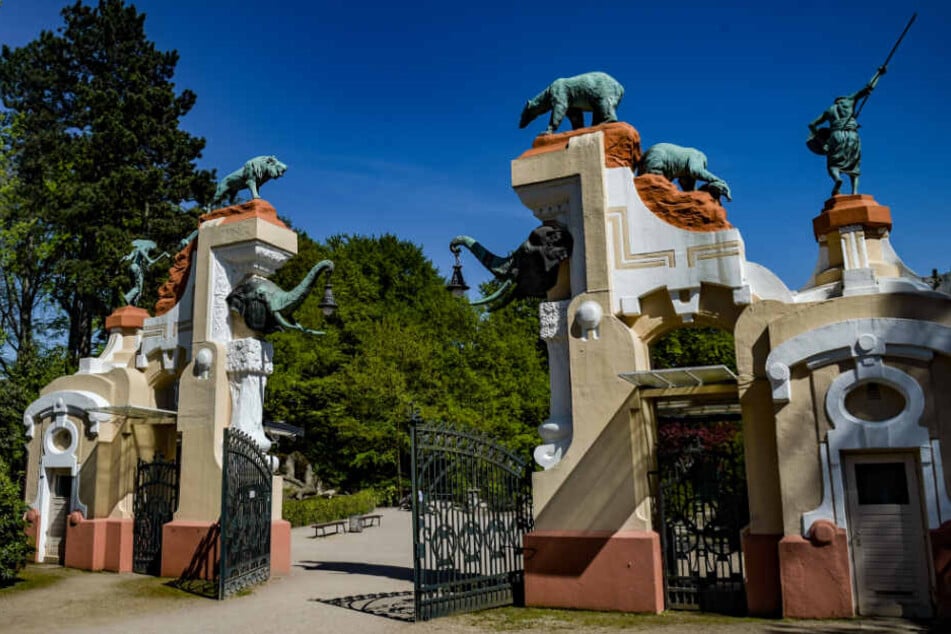 Der ehemalige Eingang des Tierpark Hagenbeck, das Elefantentor, macht einiges her.