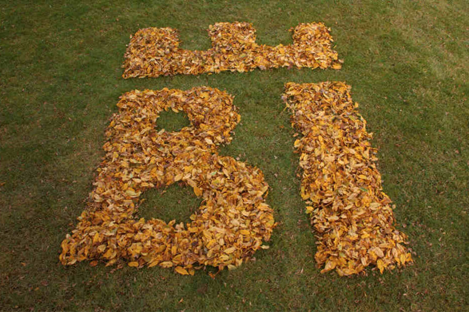 Hier wurde kreativ im Herbst das Laub zum neuen Logo zusammen gekehrt.