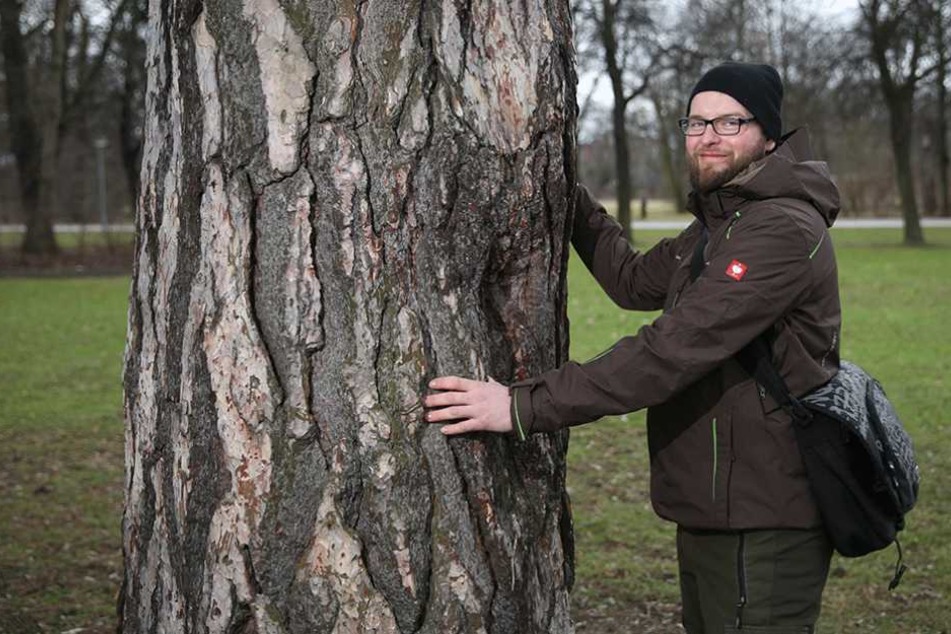Martin Miedtank (30) ist Dresdens oberster Baumpfleger.