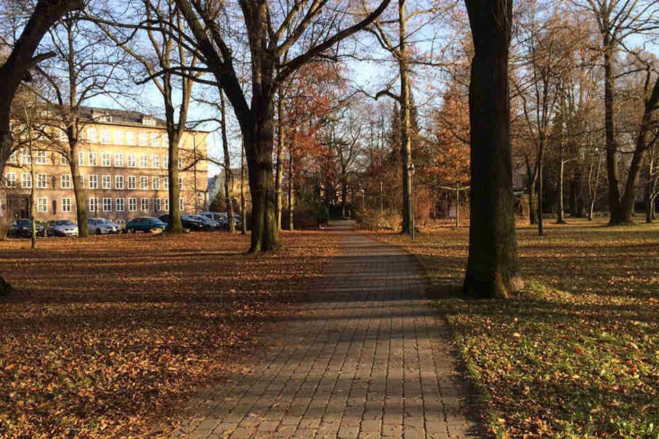 Der Verdächtige fiel der Polizei im Park der Opfer des Faschismus auf.