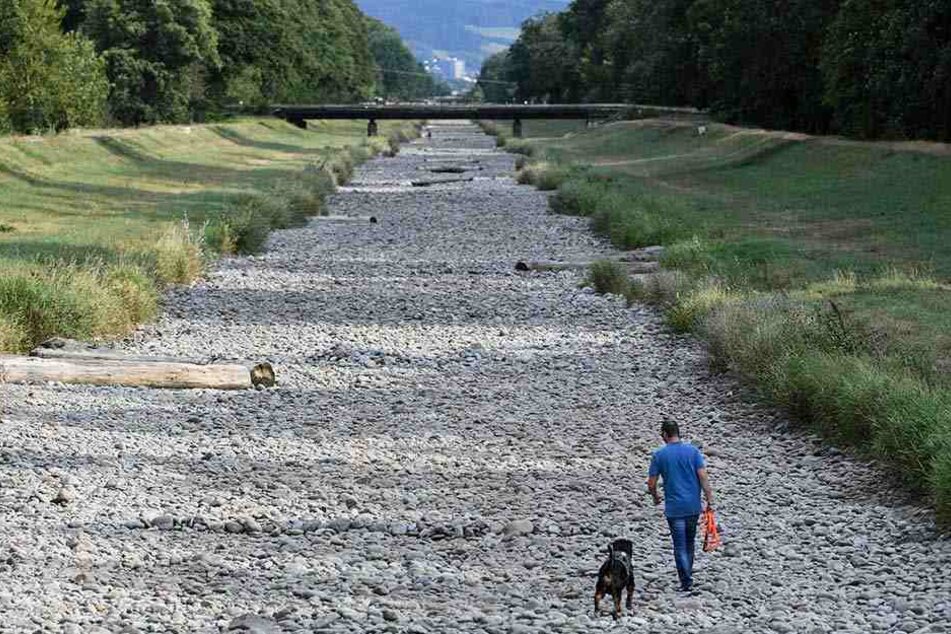 Das ausgetrocknete Flussbett der Dreisam bei Freiburg kann man mittlerweile zu Fuß durchqueren. Das Wasser ist dort verschwunden.