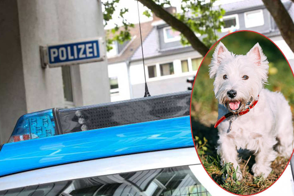 73-Jähriger will Streit schlichten - und stirbt dabei tragisch - TAG24