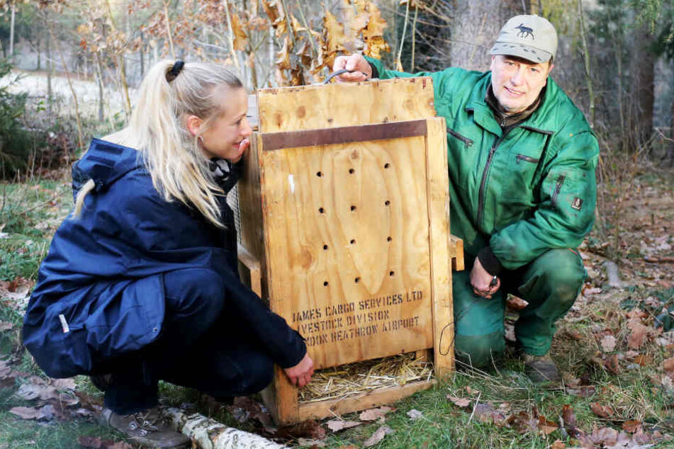 Dr. Peggy Riedel, Tierärztin und Kuratorin vom Tierpark
Chemnitz, mit Tierpfleger Frank Patzsch holen Leonie nach Chemnitz.