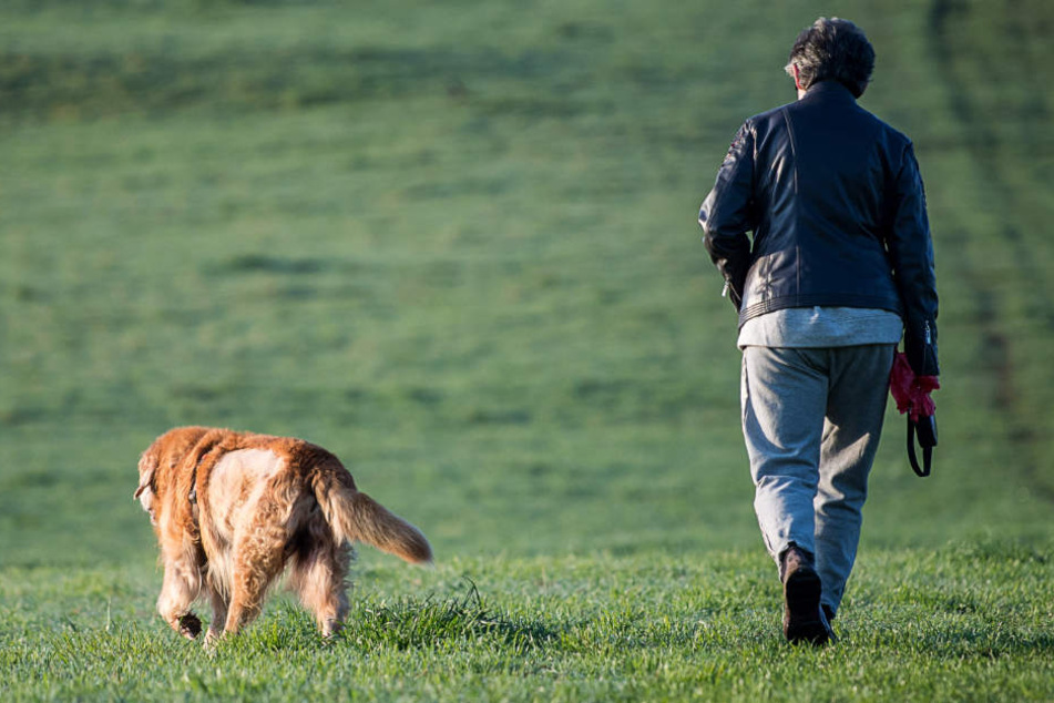 Eine Hundehalterin versuchte ihren tierischen Freund zu retten und springt in den Rhein - doch sie schaffte ihn nur noch leblos aus dem Wasser. (Symbolbild)