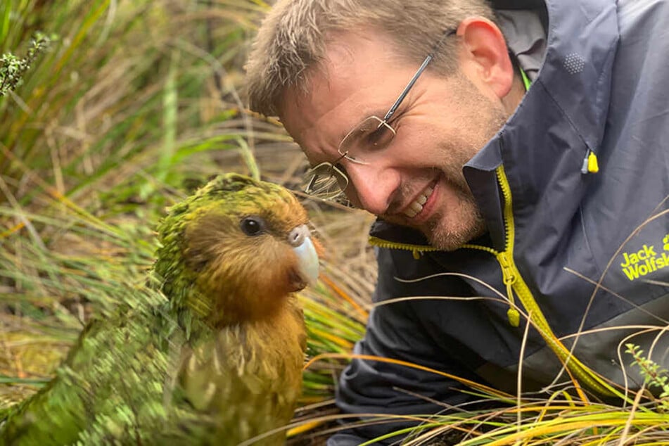 Vogel partnervermittlung