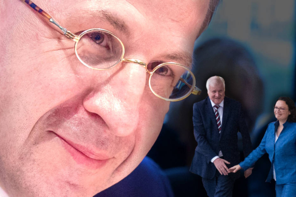 Finden Seehofer und Nahles eine Lösung im Fall Maaßen? (Bildmontage)