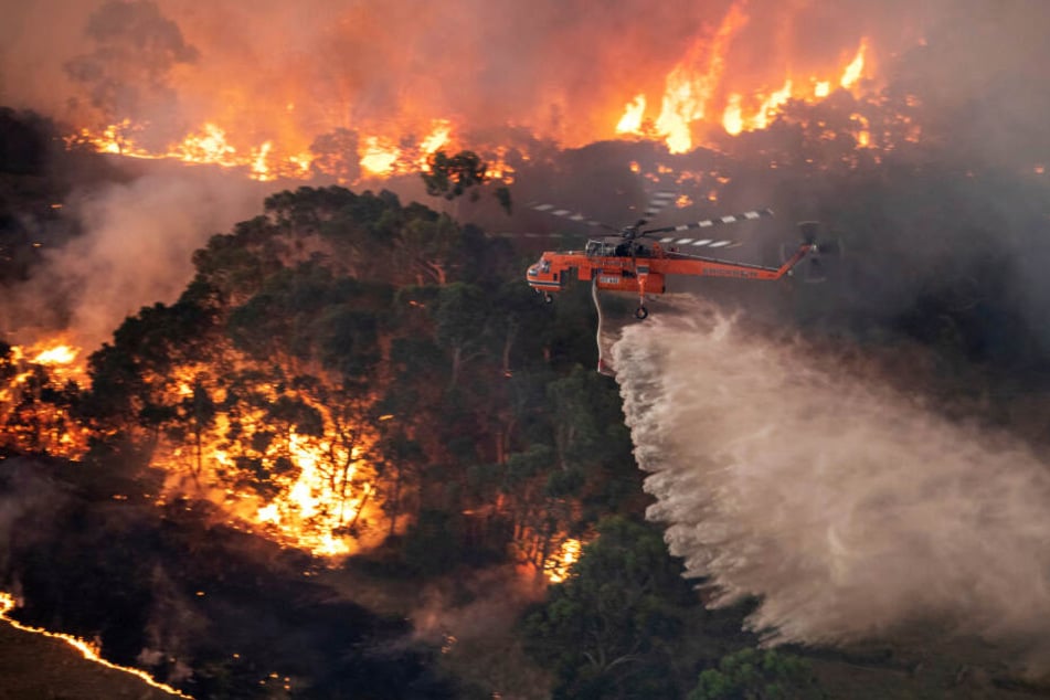 Ein Löschhubschrauber bekämpft ein Buschfeuer im Bundesstaat Victoria.