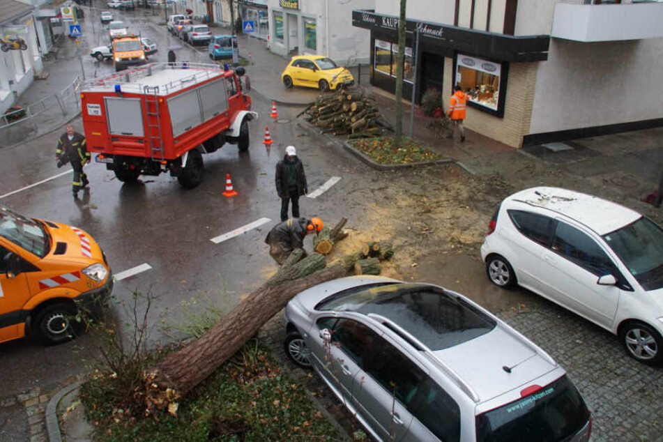 Ein umgestürzter Baum beschädigte in Stuttgart-Möhringen zwei Autos.