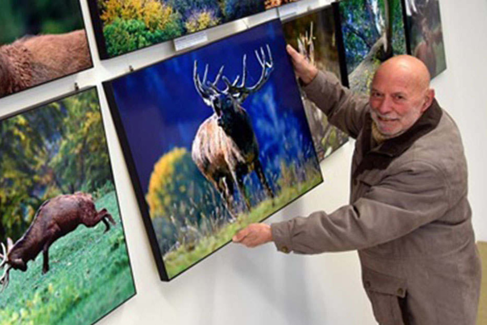 Sachsens berühmter Naturfotograf Harald Lange (80) stellt seit Samstag 300 seiner schönsten Wald-Bilder auf Schloss Colditz aus.