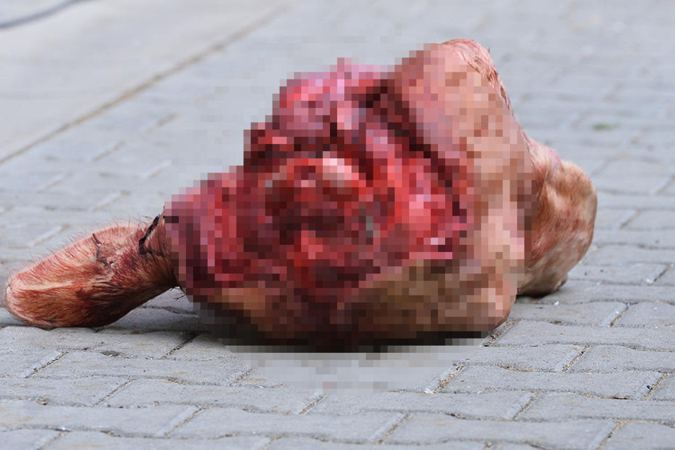 Am 20. August fiel der Bullenkopf aus dem K-Block in den Innenraum.