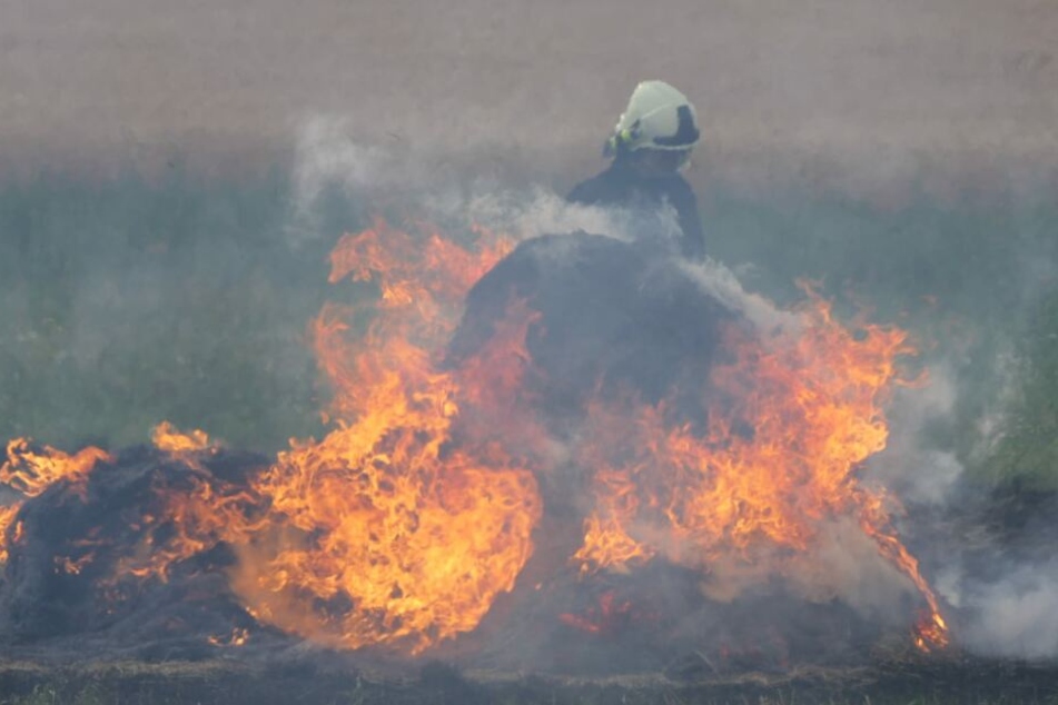 Die Flammen drohten von zwei Strohballen auf ein Weizenfeld überzugreifen.