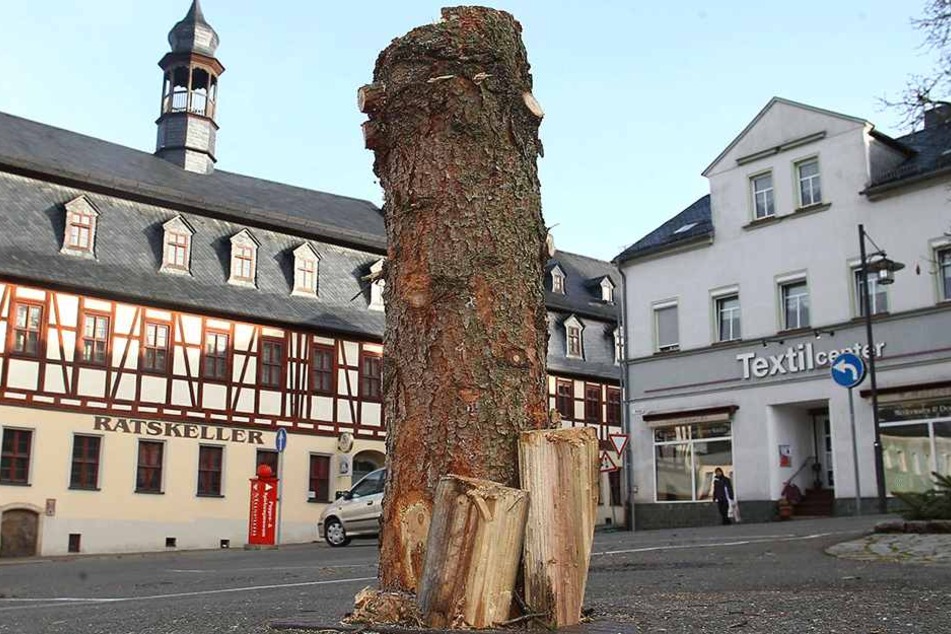 Die „Schandfichte“ haben Mitarbeiter vom Bauhof entfernt. Nächste Woche soll dann der neue Baum kommen.