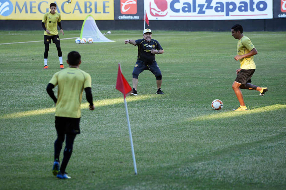 Gab bei seinem ersten Training des mexikanischen Zweitligisten Dorados de Sinaloa gleich energisch Anweisungen: Diego Armando Maradona.