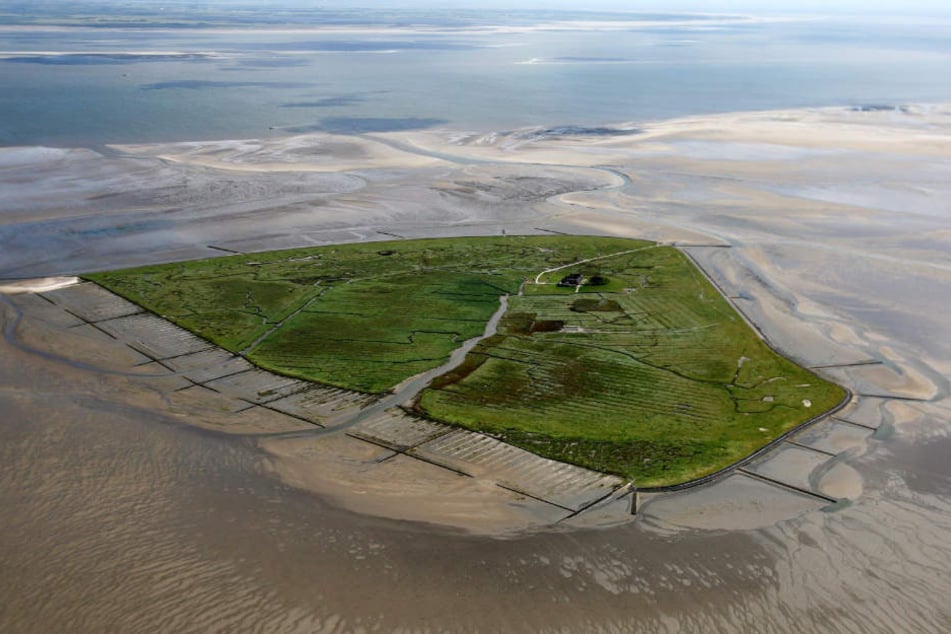 Die Hallig Süderoog liegt in der Nordsee bei Pellworm. Dort gibt es nur einen Hof.