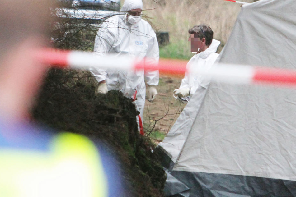 Die Leiche des Piloten wurde direkt nach dem Absturz in dem Wald bei Grebenhain gefunden (Symbolbild).