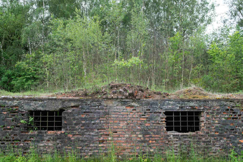 Die verfallenen Überreste der Lagerküche in Ellrich-Juliushütte.