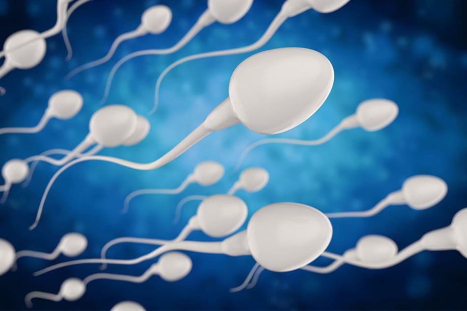 Spermien, die zu langsam sind, könnten sich irgendwo im Körper anlagern.