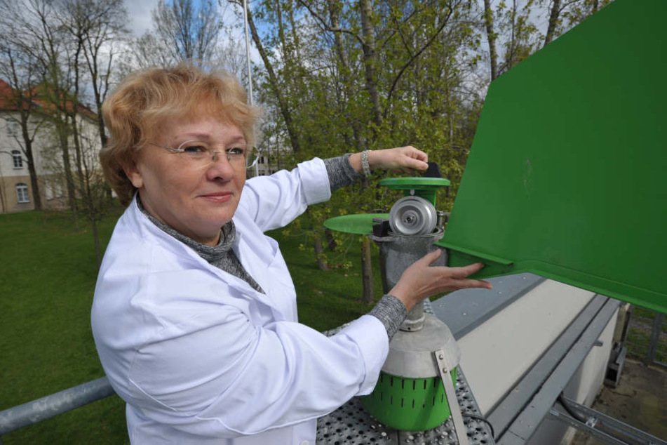 Valentina Aurich (63) betreut die Pollen-Mess-Station der
Landesuntersuchungsanstalt in der Zschopauer Straße.