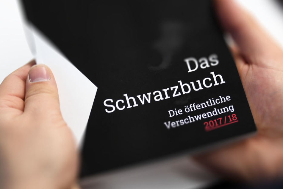 Im "Schwarzbuch 2017/18" werden die Steuerverschwundungen vorgestellt.