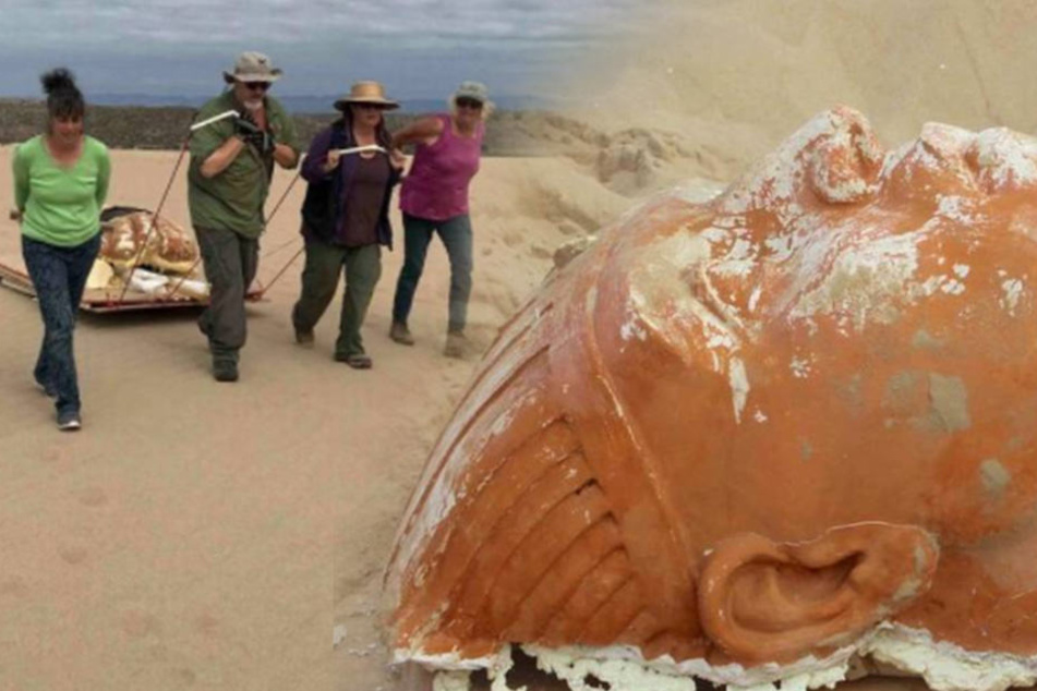 In den Dünen wurde der gigantische Sphinx-Kopf gefunden.