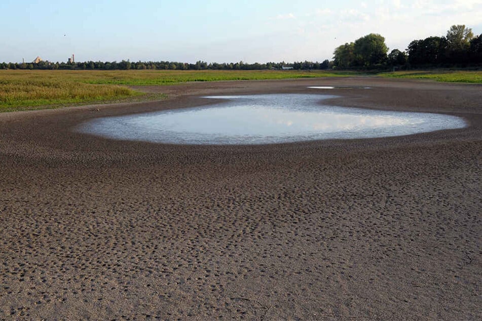 Der Elsterstausee im Jahr 2009 - fast ausgetrocknet. Die Stadt will den See nicht mehr befüllen, sondern das Gebiet anderweitig entwickeln.