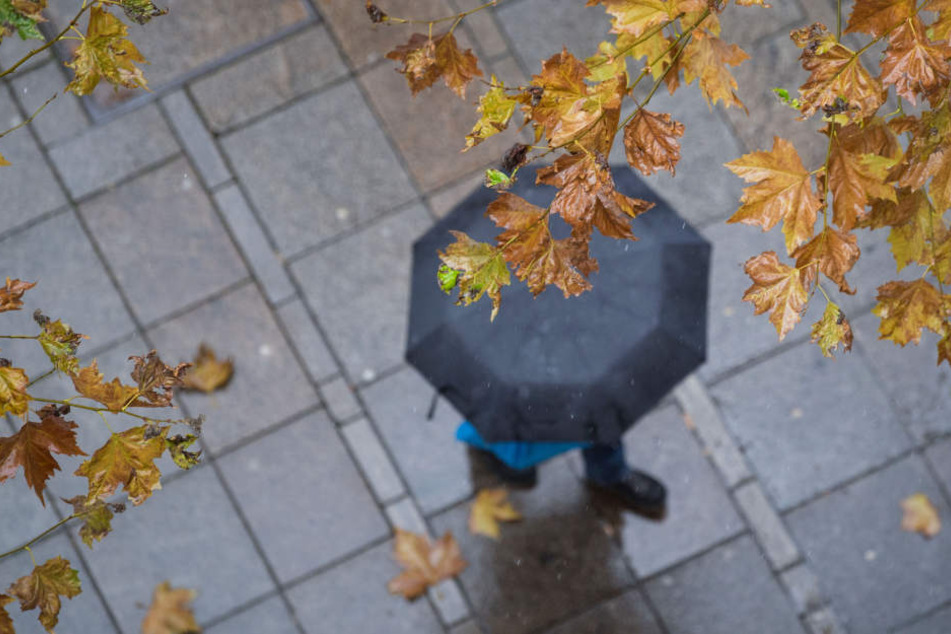 Durch den Regen sind die Straßen und Fußgängerwege oftmals rutschig.