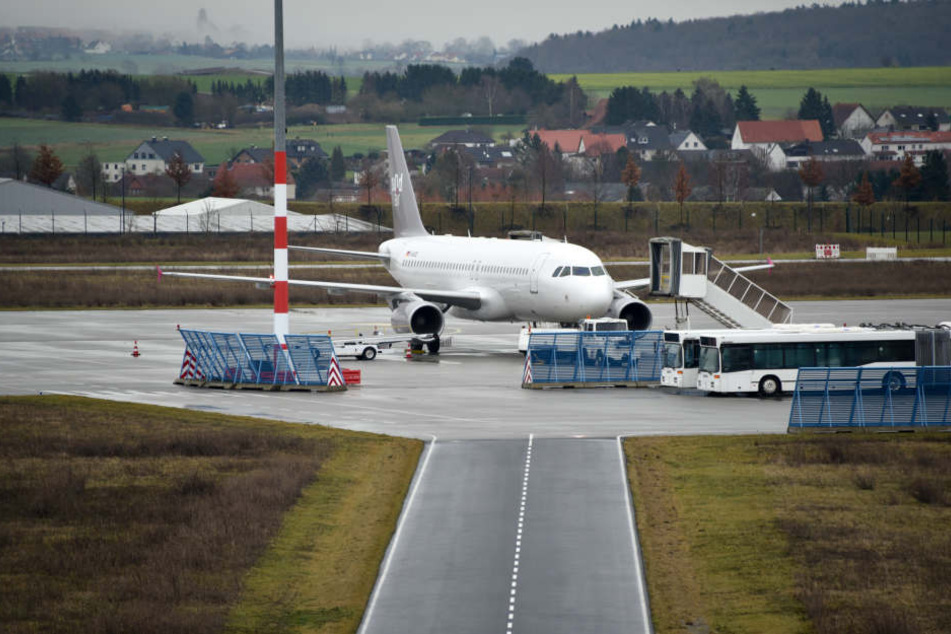 Ein Desinfektionsmittel hatte den Hund am Kasseler Flughafen in die Irre geführt. (Symbolbild)
