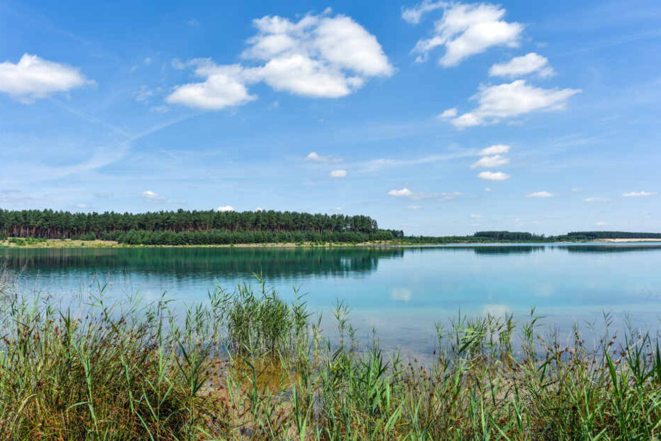 Badegewässer in Sachsen werden regelmäßig auf ihre Wasserqualität hin geprüft.