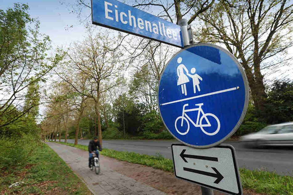 Ein Gericht in Minden muss entscheiden, ob Radfahrer hier zwischen Straße und Radweg wählen dürfen.