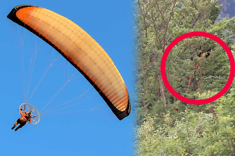 Der Flug der Paragliderin endete in einer hohen Baumkrone (rote Markierung).