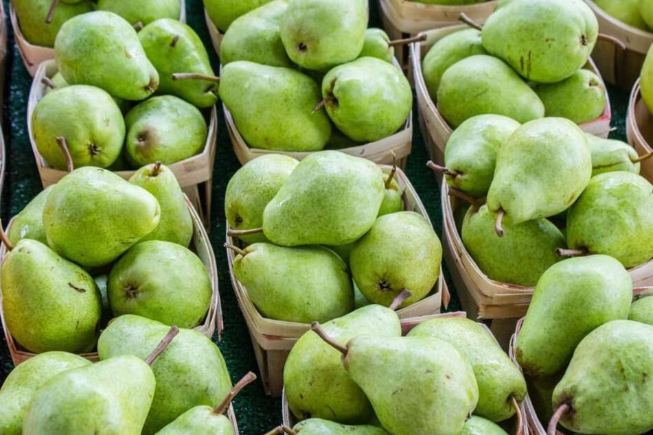 Birnen belegen Platz 7 der beliebtesten Obstsorten der Deutschen