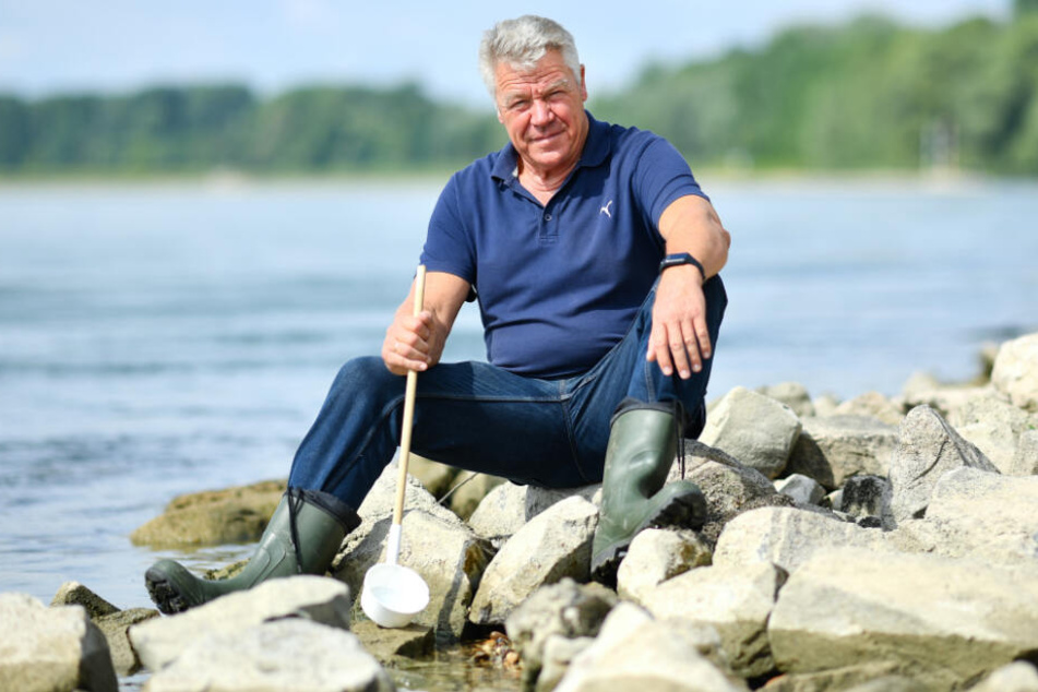 Die Tigermücke sollte schnell dem Gesundheitsamt gemeldet werden, sagt Norbert Becker.