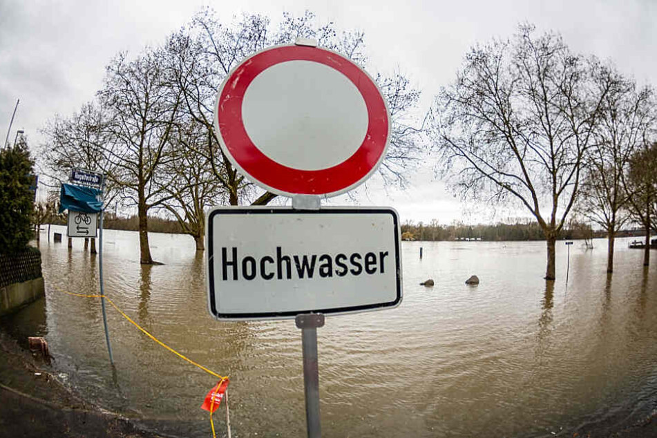 In Wiesbaden-Biebrich ist der Rhein am Mittwoch über die Ufer getreten.