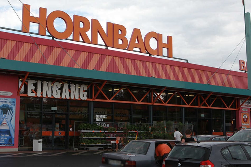 Die Pflanzen wurden im Dresdner Hornbach geklaut.