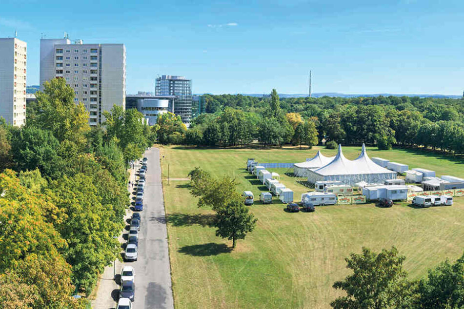 Die Cockerwiese am Großen Garten könnte in naher Zukunft bebaut werden.