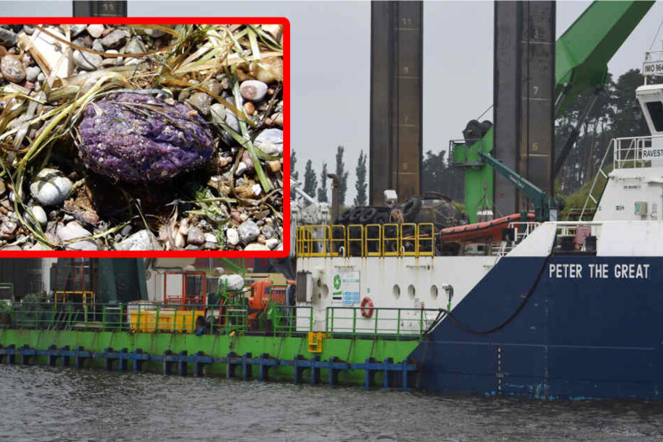 Die in den Greifswalder Bodden gelangten Schmierfettklumpen stammten von der "Peter The Great" (l).