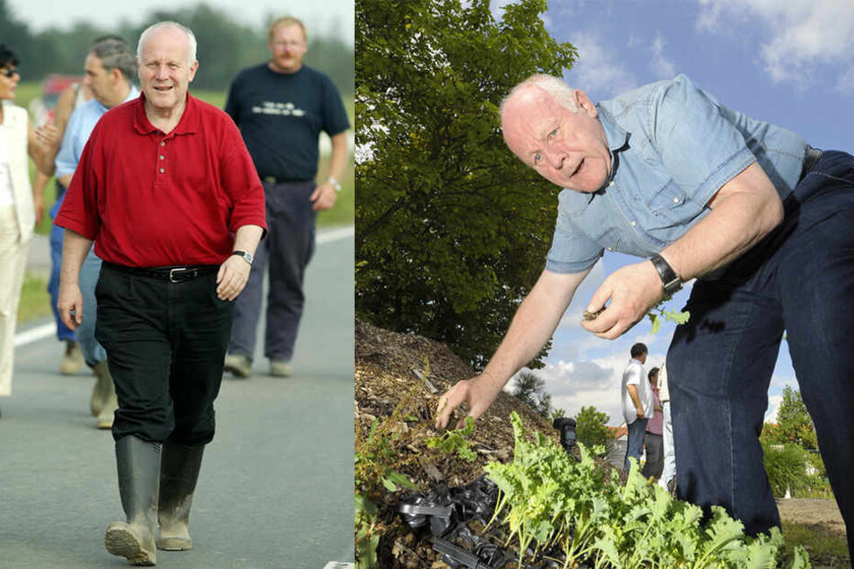 links: Mit Gummistiefeln und
Polo-Shirt war Milbradt
bei der „Flut 2002“ ein
schneller Entscheider an
vorderster Front. rechts: Beim Grünkohlpflanzen für das 23. Dresdner Grünkohlessen 2012 in Radeberg.