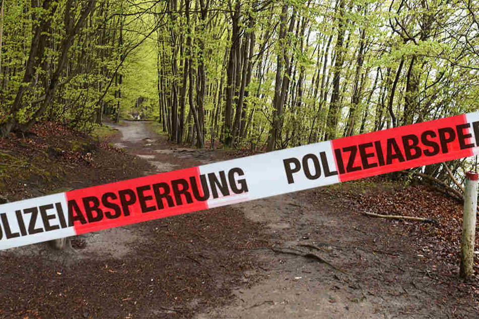 Eine Frau hat beim Wandern im Harz einen grausigen Fund gemacht. Sie entdeckte eine Männerleiche. (Symbolbild)