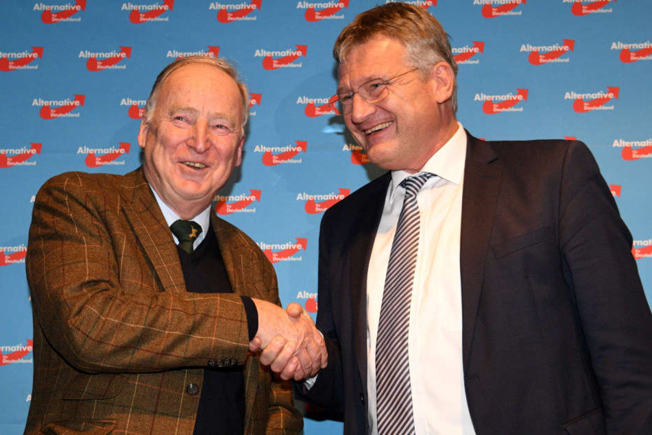 Das neue Führungsduo der AfD: Alexander Gauland (li.) und Jörg Meuthen.
