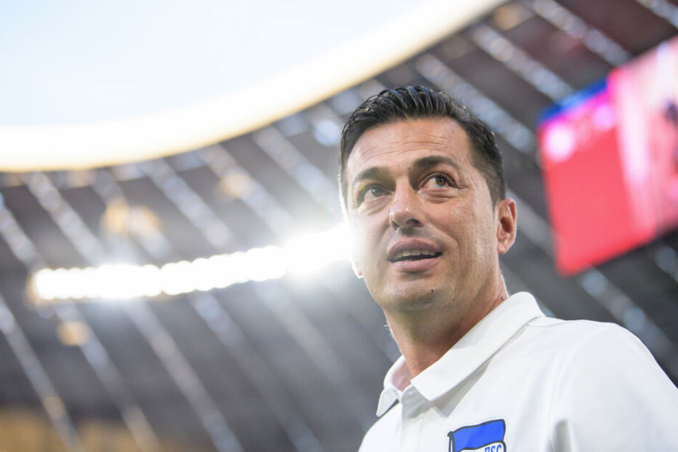 Ante Covic feiert am Sonntag seine Heim-Premiere in der Bundesliga.