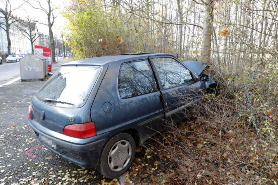 Der Peugeot landete in einer Hecke.