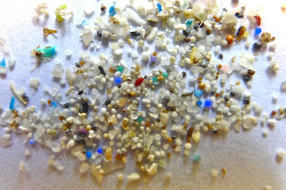 Die Plastikteilchen verschmutzen die Gewässer und werden oft von Fischen aufgenommen.