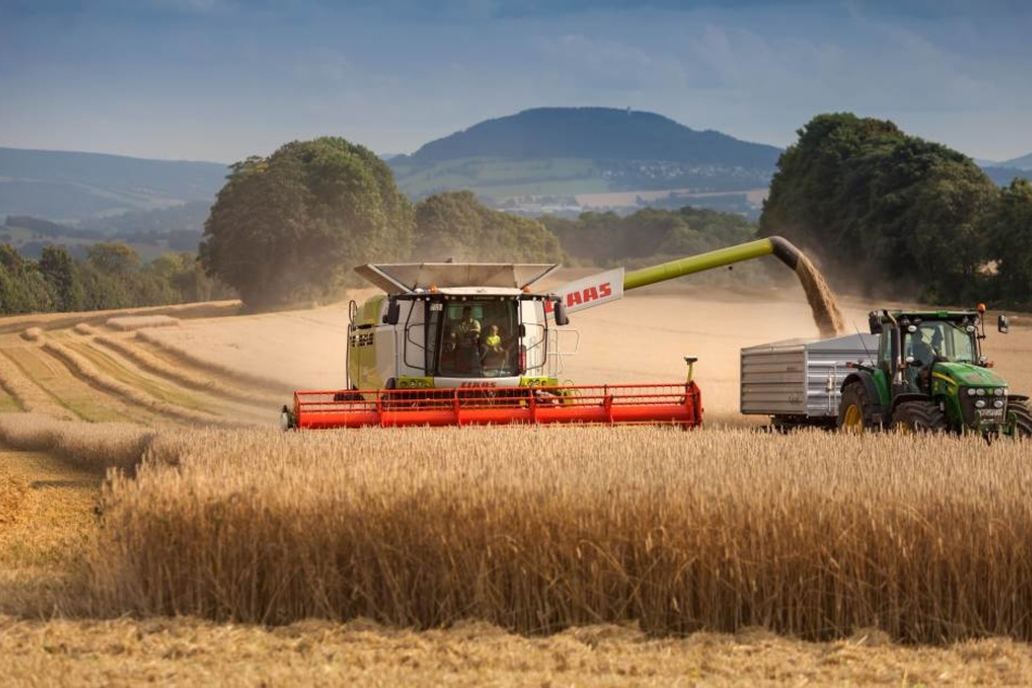 In dieser Woche wurde in Neundorf im Erzgebirge Gerste geerntet. Sachsens Landwirte haben in diesem Jahr auf 363.000 Hektar Getreide angebaut.