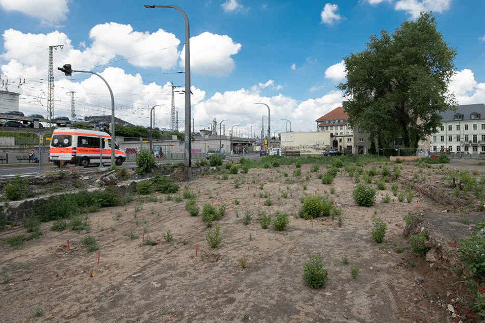 Aktuell herrscht für das geplante Hotel "Super 8" an der Marienbrücke ein Baustopp.