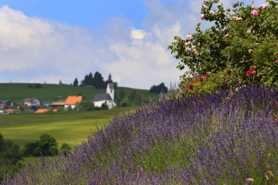 Die Gastwirte in Oy-Mittelberg sind mittlerweile Duftgastgeber, ein Erlebnisrundgang wird geplant.