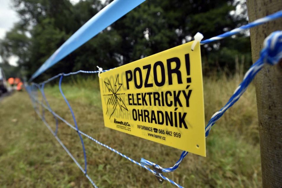Ein Elektrozaun entlang einer Landstraße bei Zlin (Tschechien). Die tschechischen Behörden haben ihre Sicherheitsmaßnahmen gegen Wildschweine wegen der Schweinepest bereits verschärft. (Archivbild)