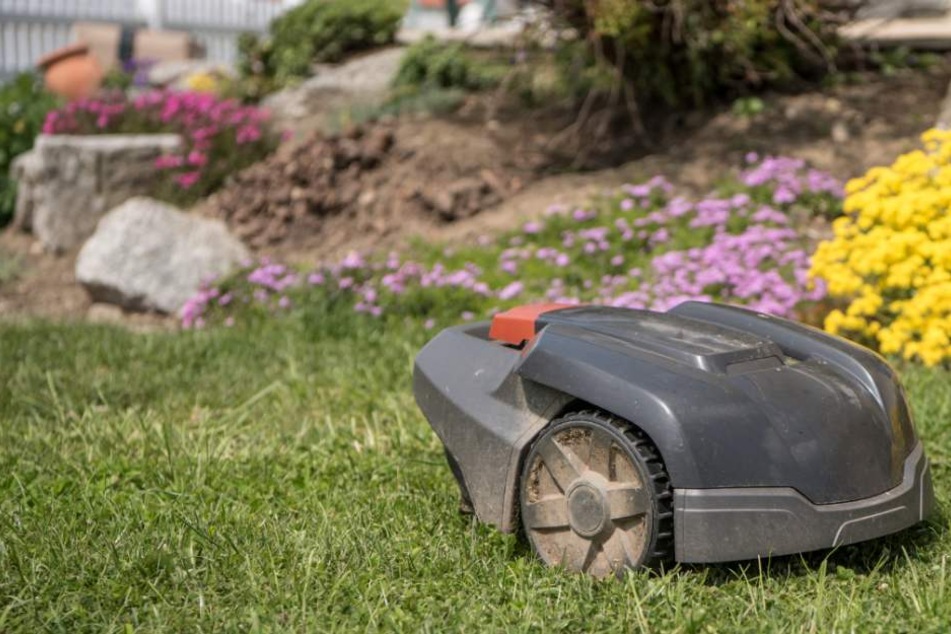 Der Rasenroboter soll einen Tankschlauch beschädigt und damit einen großen Schaden verursacht haben (Symbolbild).